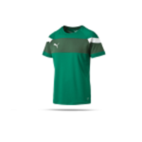 PUMA Spirit II Trainingsshirt Kinder (005)