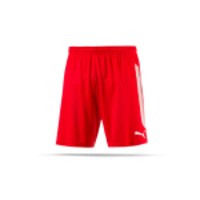PUMA Striker Short mit Innenslip (001)