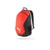 PUMA teamFINAL 21 Backpack (001)