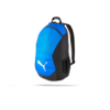 PUMA teamFINAL 21 Backpack (002)