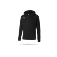 PUMA teamFINAL 21 Casuals Hoodie (003)