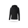 PUMA teamFINAL 21 Casuals Hoodie (003)