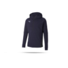 PUMA teamFINAL 21 Casuals Hoodie (006)