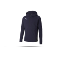 PUMA teamFINAL 21 Casuals Hoodie (006)