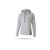 PUMA teamFINAL 21 Casuals Hoodie (037)