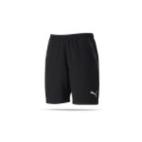 PUMA teamFINAL 21 Casuals Shorts (003)