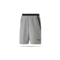PUMA teamFINAL 21 Casuals Shorts (037)
