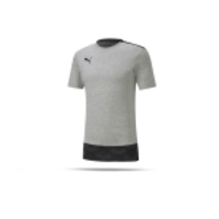 PUMA teamFINAL 21 Casuals Tee (037)