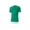 PUMA teamFINAL 21 Graphic Trikot kurzarm (005)