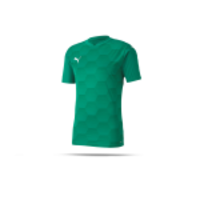 PUMA teamFINAL 21 Graphic Trikot kurzarm (005)