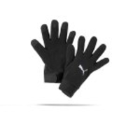 PUMA teamLIGA 21 Feldspieler Handschuhe (001)