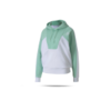 PUMA TFS Hoodie Damen (032)