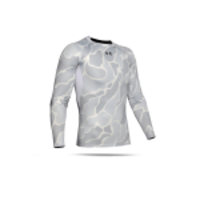 UNDER ARMOUR Heatgear Longsleeve Shirt (101)