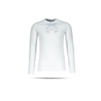 UNDER ARMOUR HeatGear Longsleeve Shirt Kinder (101)