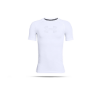 UNDER ARMOUR HeatGear SL Shirt Kinder (101)