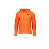 UNDER ARMOUR Rival Fleece PO Hoodie (856)