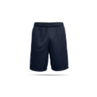 UNDER ARMOUR Tech Graphic Shorts (409)