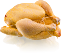 Kikok Maishähnchen