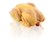 Maishuhn,  Poulet Ma s Fermier