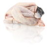 Schwarzfederhuhn,  Poulet Noir Fermier