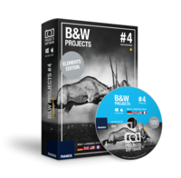 BLACK & WHITE projects 4 elements