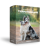 Das große E-Book-Paket Tierfotografie