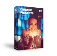 DENOISE projects 2 elements