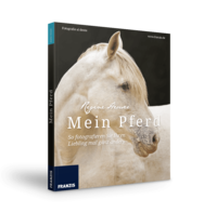 Mein Pferd