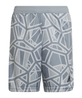 adidas Condivo 22 Torwartshort Kids Grau