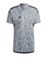 adidas Condivo 22 Torwarttrikot Grau
