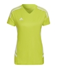 adidas Condivo 22 Trikot Damen Grün Weiss