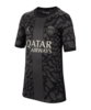 Jordan Paris St. Germain Trikot UCL 2023/2024 Kids Grau F069
