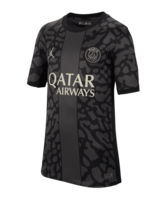 Jordan Paris St. Germain Trikot UCL 2023/2024 Kids Grau F069
