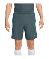 Nike FC Barcelona Short Blau F437