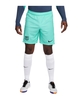 Nike FC Barcelona Short UCL 2023/2024 Blau F486