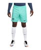 Nike FC Barcelona Short UCL 2023/2024 Blau F486