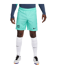 Nike FC Barcelona Short UCL 2023/2024 Blau F486