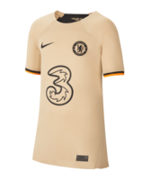 Nike FC Chelsea London Trikot UCL 2022/2023 Kids Beige F253