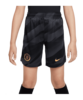 Nike FC Chelsea London TW-Short 2023/2024 Kids Grau F060