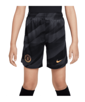 Nike FC Chelsea London TW-Short 2023/2024 Kids Grau F060