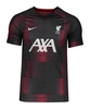 Nike FC Liverpool Academy Pro Prematch Shirt F688