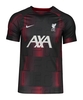 Nike FC Liverpool Academy Pro Prematch Shirt F688