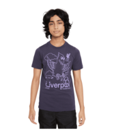 Nike FC Liverpool Air T-Shirt Kids Grau F015