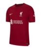 Nike FC Liverpool Auth. Trikot Home 2022/2023 F609