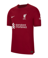 Nike FC Liverpool Auth. Trikot Home 2022/2023 F609