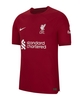 Nike FC Liverpool Auth. Trikot Home 2022/2023 Rot F609