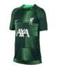 Nike FC Liverpool Prematch Shirt 2023/2024 Kids Grün F398