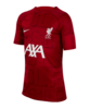 Nike FC Liverpool Prematch Shirt 2023/2024 Kids Rot F688