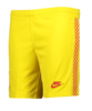 Nike FC Liverpool Short 3rd 21/22 Kids Gelb F703