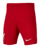 Nike FC Liverpool Short Home 2023/2024 Rot F687